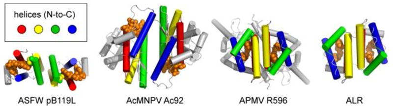 Figure 20