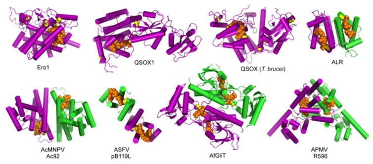 Figure 17