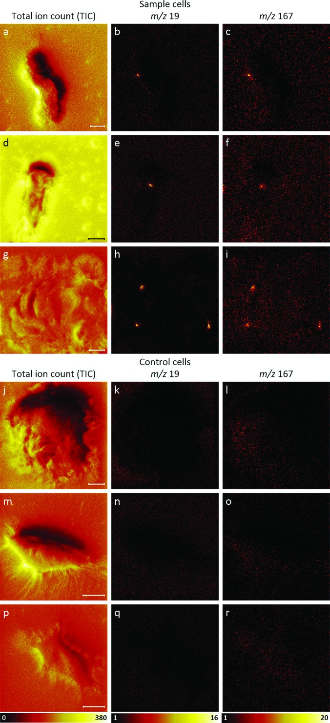 Fig. 3.