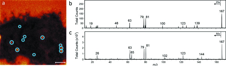 Fig. 5.