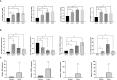 Figure 10