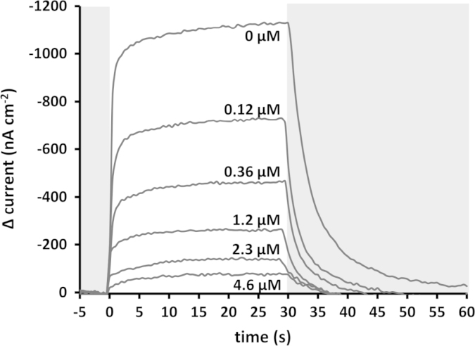 Fig. 3