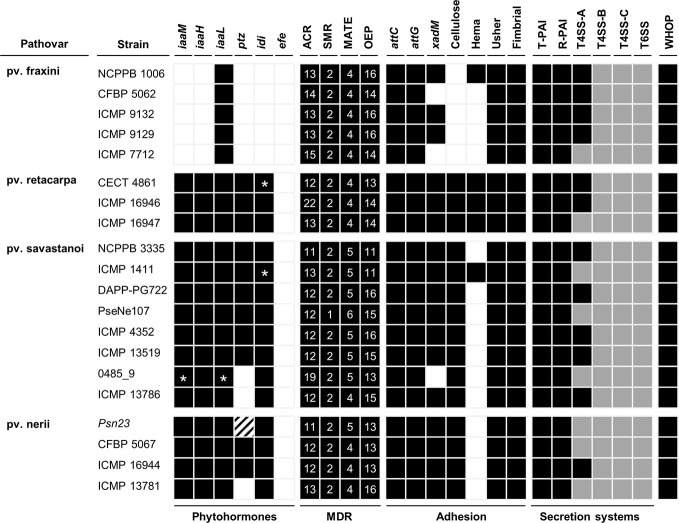 Figure 5