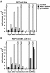 FIG. 8.