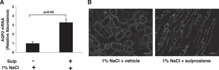 Fig. 9.