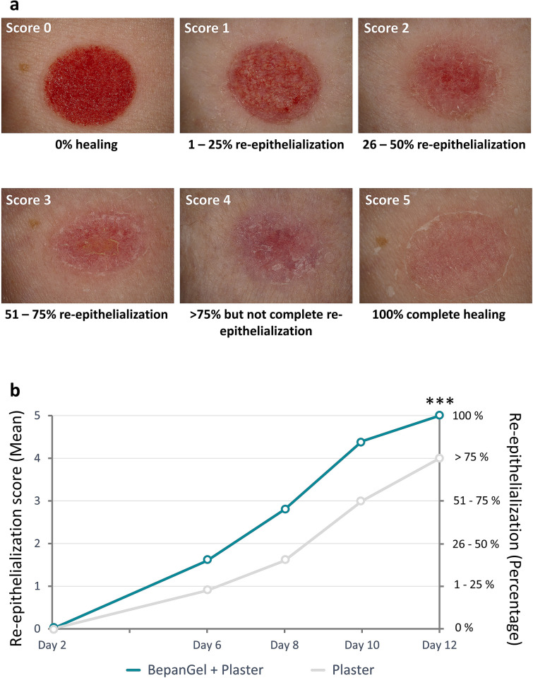 Fig. 2