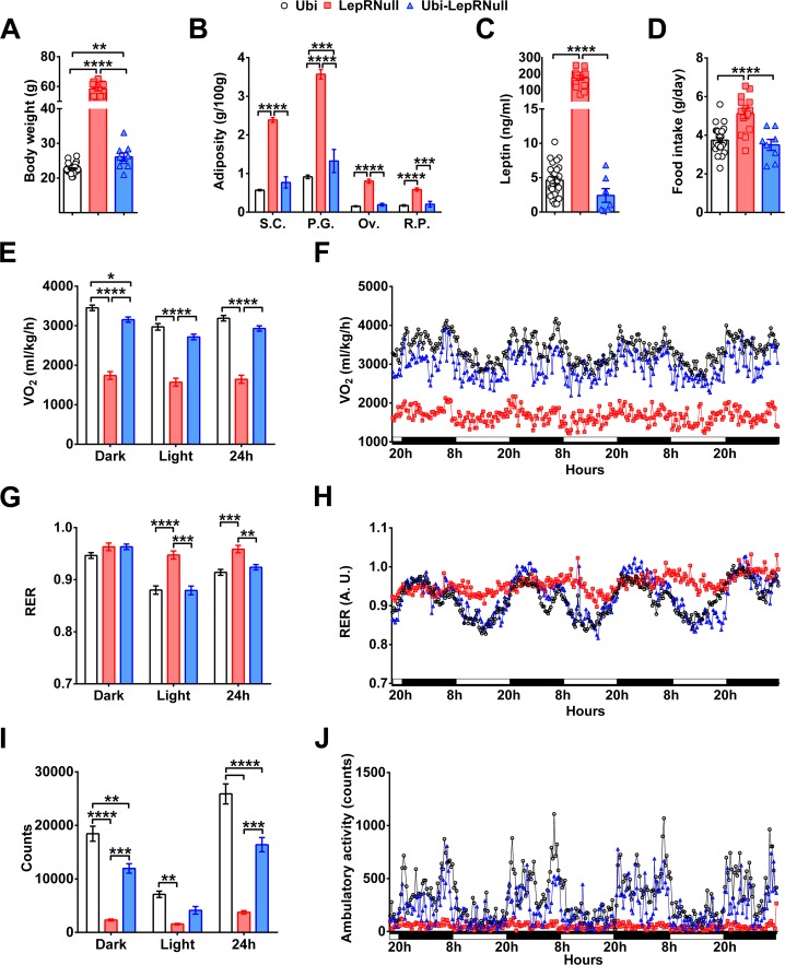 Figure 2—figure supplement 1.