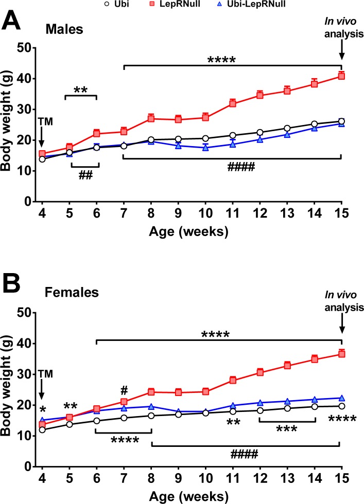 Figure 5—figure supplement 1.