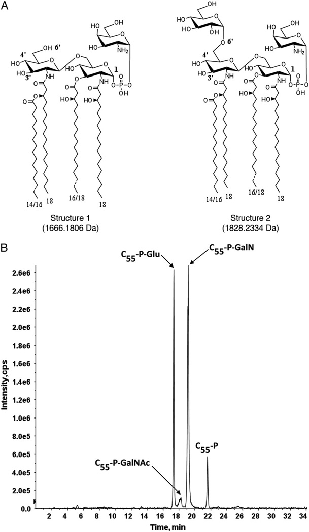 Fig. 6