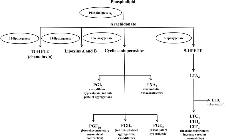 Fig. (1)