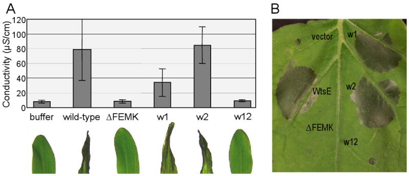 Fig. 2