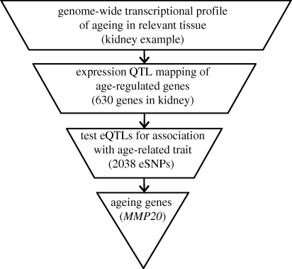 Figure 1.