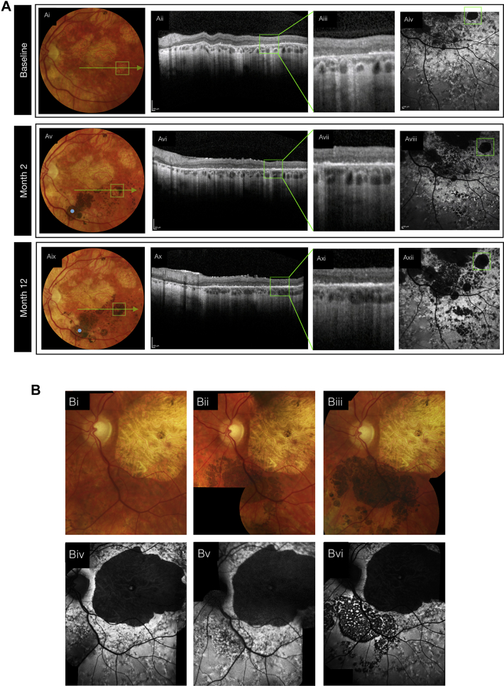 Figure 2