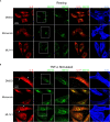 Figure 5