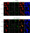 Figure 6