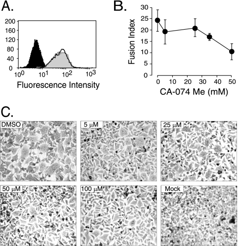 FIG. 4.