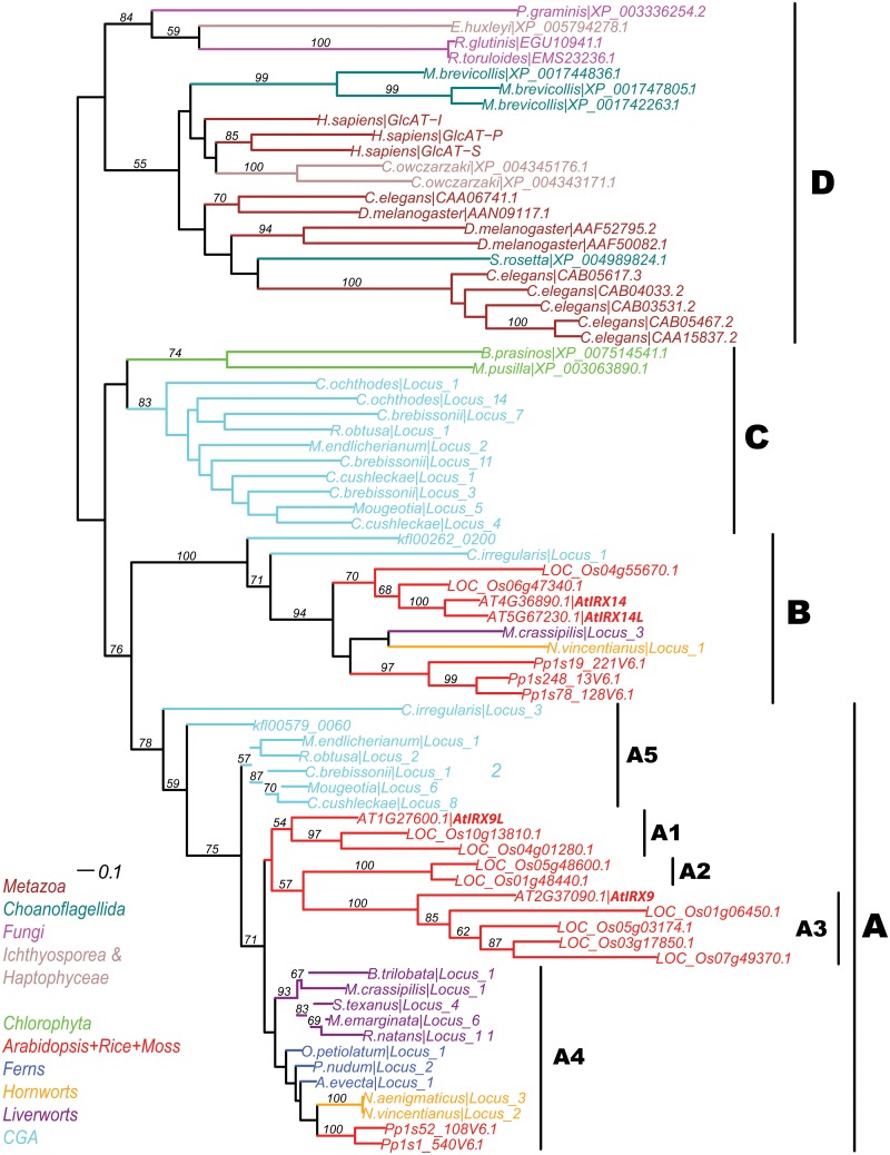 Fig 2