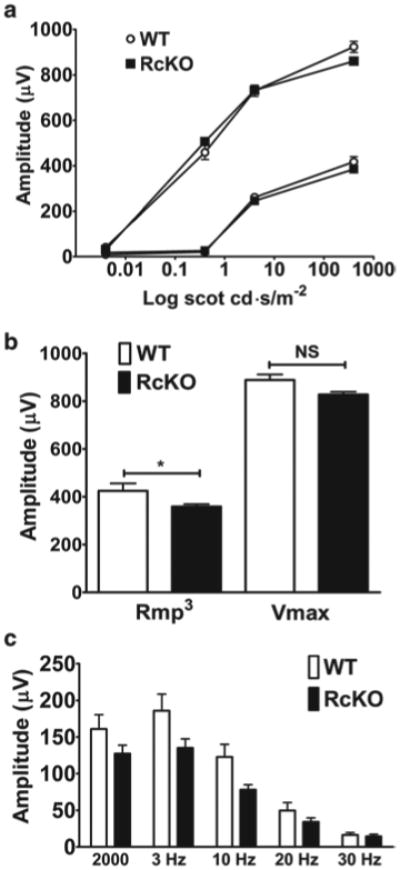 Fig. 80.2