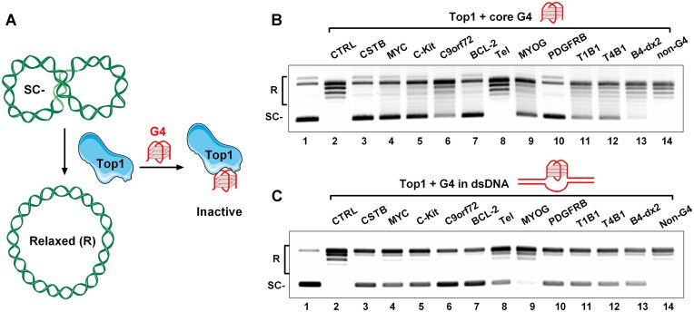 Figure 3.