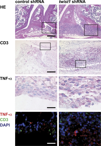 Figure 10.