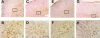 FIG. 6.