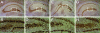 FIG. 5.