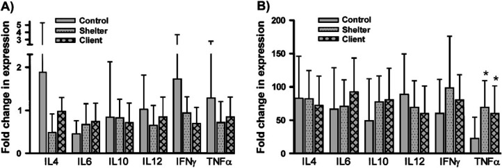 Fig 6