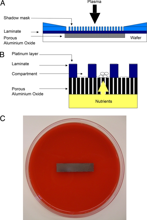 Fig. 1.