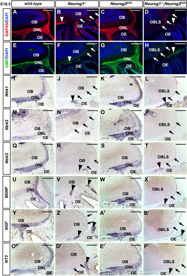 Figure 9 