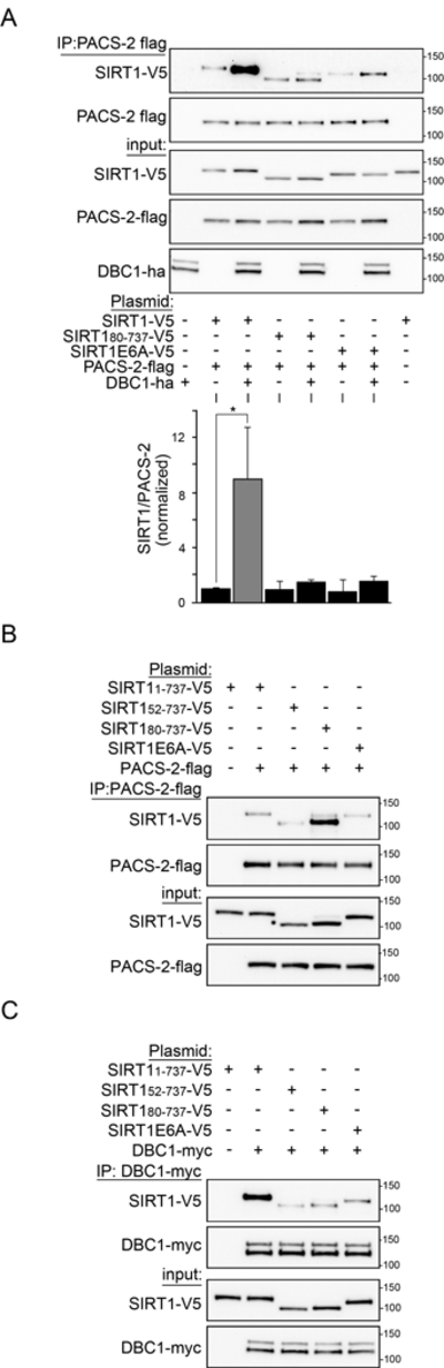 Figure 3: