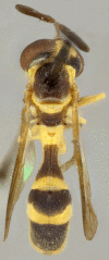 Figure 10a.