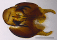 Figure 12e.