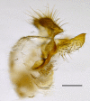 Figure 10d.