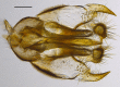 Figure 10e.