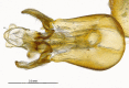 Figure 15b.