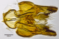 Figure 4b.