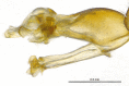 Figure 15a.