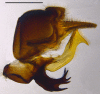 Figure 12d.