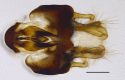 Figure 13d.