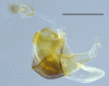 Figure 9d.