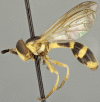 Figure 10b.