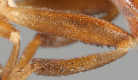 Figure 7d.