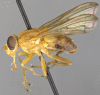 Figure 5c.