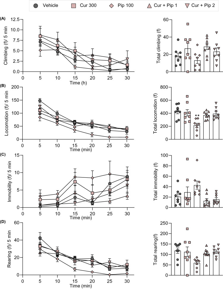 Fig. 13