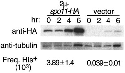 FIG. 5.