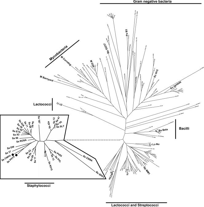 FIG. 8.