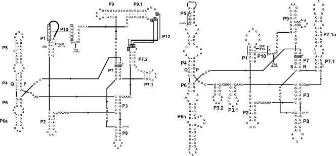 FIG. 6.