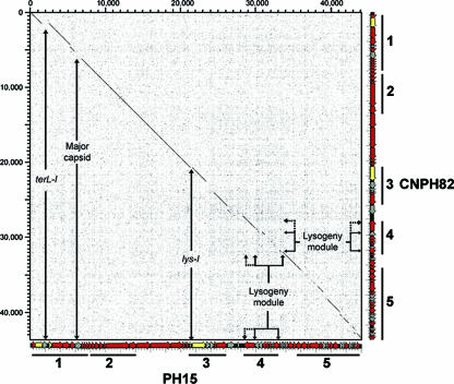 FIG. 3.