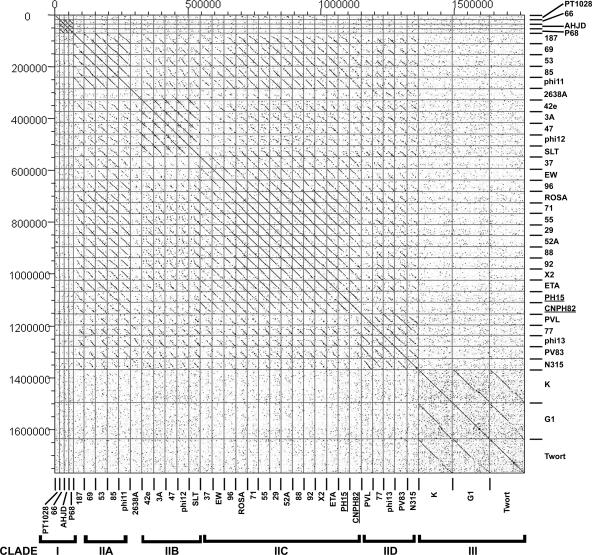 FIG. 7.