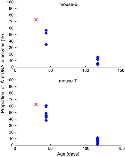 Figure 3.—